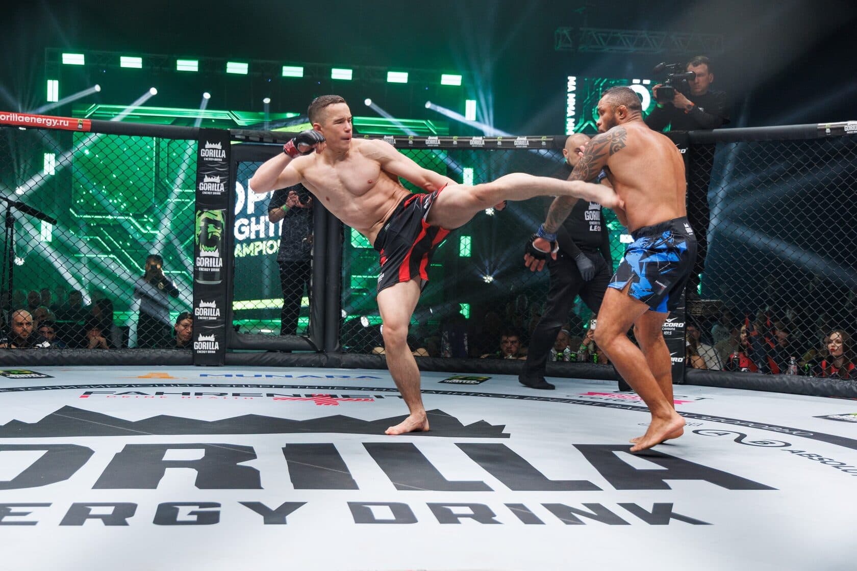 Павел Герасимов